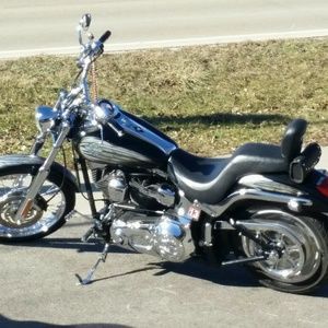 Meet your Posher, Steve